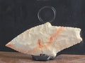 Story in Chert: Veinity
