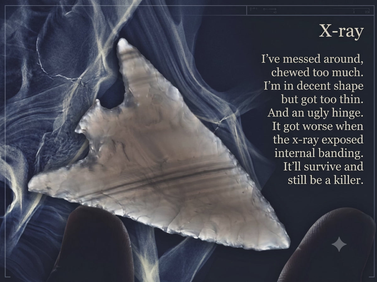Story in Obsidian: X-Ray